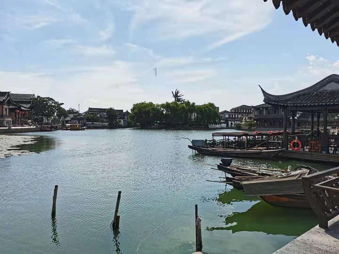 湖南导游组团“出道” 带着“老外”品湖湘年味